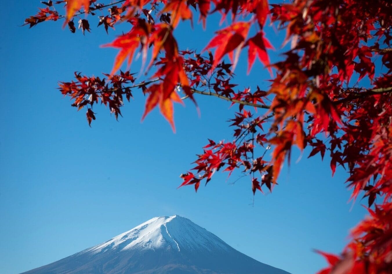 pexels-clyde-thomas-6602634